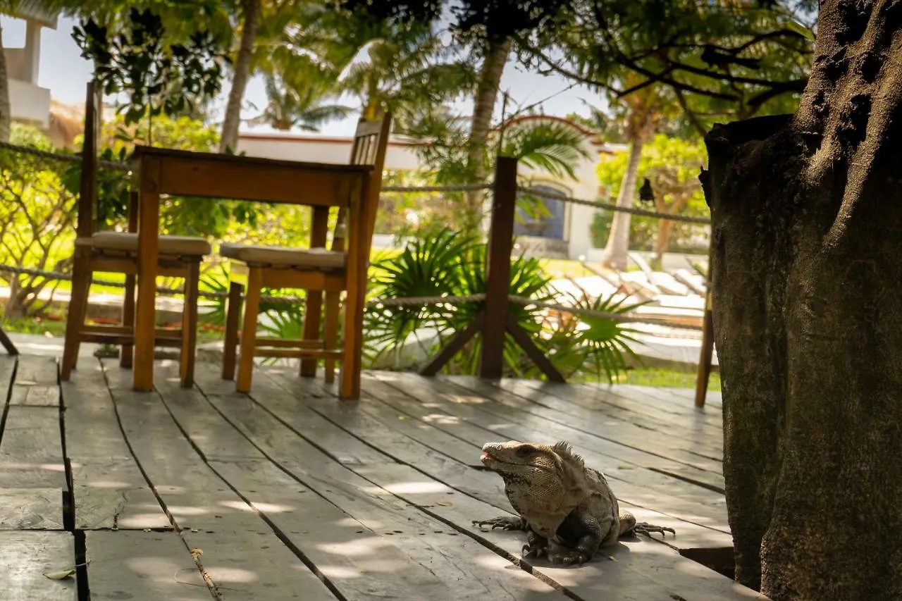 Marina Paraiso Isla Mujeres Hotel Μεξικό